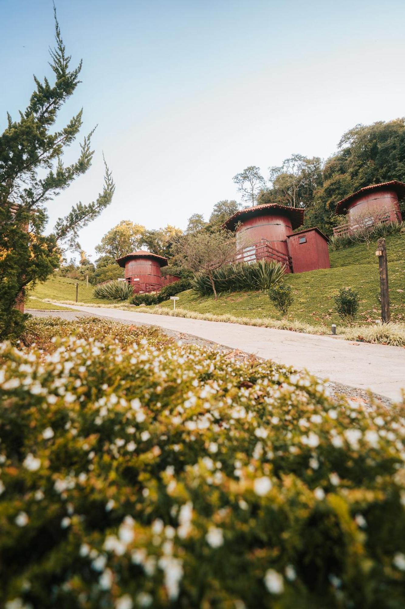 Pipas Do Vale - Vale Dos Vinhedos Hotel Bento Gonçalves Kültér fotó